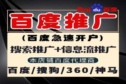 谷歌SEM案例研究：关键词优化策略解析